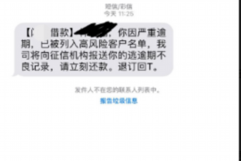 巢湖为什么选择专业追讨公司来处理您的债务纠纷？